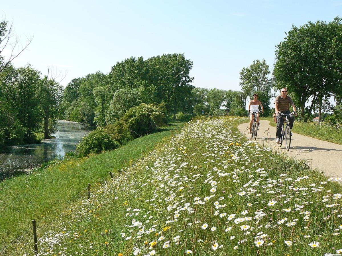 Vakantiepark Wilhelm Tell Superieur Chalet Opglabbeek Екстериор снимка