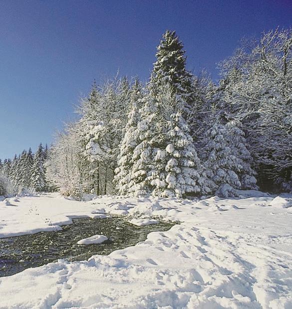 Vakantiepark Wilhelm Tell Superieur Chalet Opglabbeek Екстериор снимка